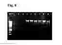 Fig. 09 - Methods and materials for using chemical compounds as a tool for nucleic acid storage on media of nucleic acid purification systems