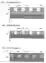 Fig. 02 - Evaluation of openings in a dielectric layer