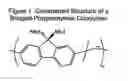 Fig. 02 - Class of bridged biphenylene polymers