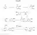 Fig. 131 - Synthetic process for trans-aminocyclohexyl ether compounds