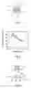 Fig. 02 - Time-resolved scanning patterns for intrastromal surgery