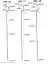 Fig. 07 - Method of repairing soft tissue using sizing templates