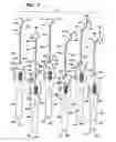 Fig. 02 - Implant system with sizing templates