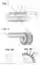 Fig. 02 - Method of manufacturing rotor of rotary electric machine