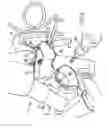Fig. 06 - Cable anti-theft device for a cycle and cycle equipped with such a device