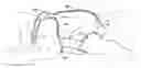 Fig. 01 - Pet diaper garment
