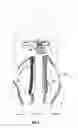 Fig. 07 - Pet diaper garment