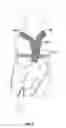 Fig. 08 - Pet diaper garment