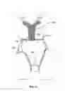 Fig. 13 - Pet diaper garment