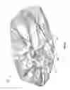 Fig. 14 - Pet diaper garment