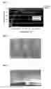 Fig. 02 - Method of forming metal pattern having low resistivity