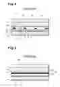 Fig. 04 - Plasma display panel