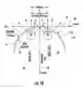 Fig. 12 - Non-corrective lenses with improved peripheral vision