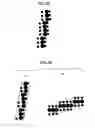 Fig. 22 - Image-processing method and apparatus, and image-forming apparatus