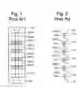 Fig. 02 - Systems for comprehensive erase verification in non-volatile memory