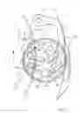 Fig. 06 - Gear for watch movement