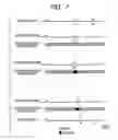 Fig. 06 - Method of detecting sync signals