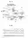 Fig. 09 - Information recording medium, information recording and reproducing apparatus and method for adjusting phase of recording track