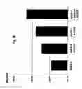 Fig. 09 - Novel use of adenoviruses and nucleic acids coding therefor