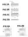 Fig. 03 - Master information carrier for magnetic transfer and a method for producing the carrier