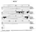 Fig. 07 - 12 human secreted proteins