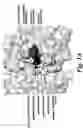 Fig. 02 - Method of making libraries and anti-ligands
