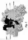 Fig. 06 - Method of making libraries and anti-ligands