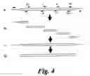 Fig. 08 - Method of making libraries and anti-ligands