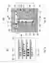 Fig. 02 - Bioreactors with an array of chambers and a common feed line