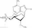 Fig. 11 - Compounds for modulating the activity of exchange proteins directly activated by cAMP (Epacs)