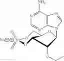 Fig. 13 - Compounds for modulating the activity of exchange proteins directly activated by cAMP (Epacs)