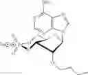 Fig. 15 - Compounds for modulating the activity of exchange proteins directly activated by cAMP (Epacs)
