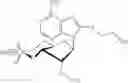 Fig. 31 - Compounds for modulating the activity of exchange proteins directly activated by cAMP (Epacs)