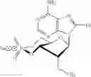 Fig. 47 - Compounds for modulating the activity of exchange proteins directly activated by cAMP (Epacs)