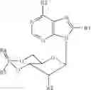 Fig. 58 - Compounds for modulating the activity of exchange proteins directly activated by cAMP (Epacs)
