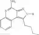Fig. 676 - Pyrazolopyridines and analogs thereof