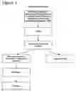 Fig. 02 - Substituted indolealkanoic acids derivative and formulations containing same for use in the treatment of diabetic complications