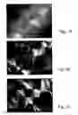 Fig. 02 - Random and non-random alkylene oxide polymer alloy compositions