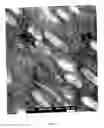 Fig. 02 - Elastic blends comprising crystalline polymer and crystallizable polymers of propylene