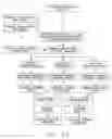 Fig. 25 - Method for determining the risk of rupture of a blood vessel