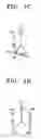 Fig. 03 - Apparatus, medium, and method for measuring body fat