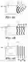 Fig. 05 - Pressure pulse/shock wave therapy methods and an apparatus for conducting the therapeutic methods