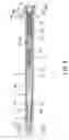 Fig. 07 - Disposable syringe with a retractable needle
