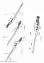 Fig. 02 - Intramedullary fixation device for metaphyseal long bone fractures
