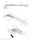 Fig. 09 - Surgical scalpel with retractable guard