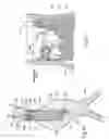 Fig. 35 - Devices, systems, and methods for prosthesis delivery and implantation