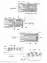 Fig. 44 - Devices, systems, and methods for prosthesis delivery and implantation