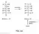Fig. 07 - Method of enhancing the efficiency of a pharmaceutical business