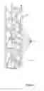Fig. 06 - Guest screening device
