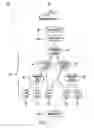 Fig. 06 - Learning-based method for estimating cost and statistics of complex operators in continuous queries